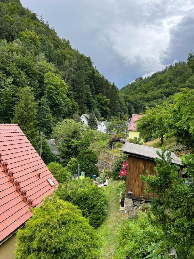 Pension Alpenrose Bad Schandau Εξωτερικό φωτογραφία